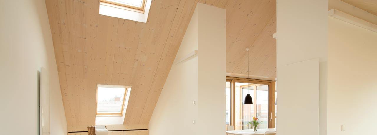 Apartment in Graz - Architecture: Architektur Strobl ZT GmbH; Photos: Patricia Weisskirchner