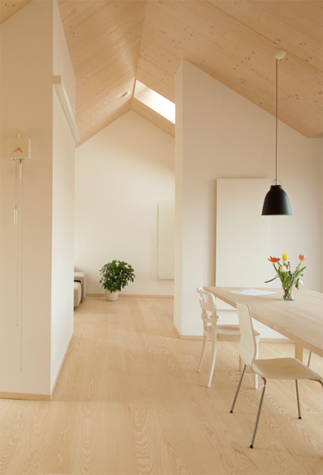 Apartment in Graz with VELUX roof windows