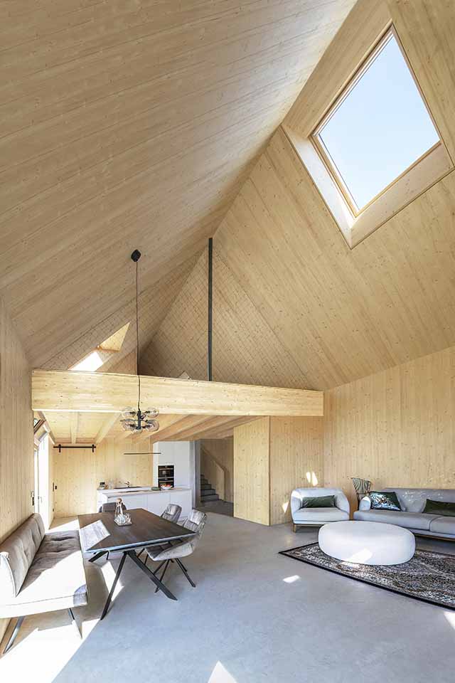 New build project showcasing VELUX roof windows - family home near Vienna