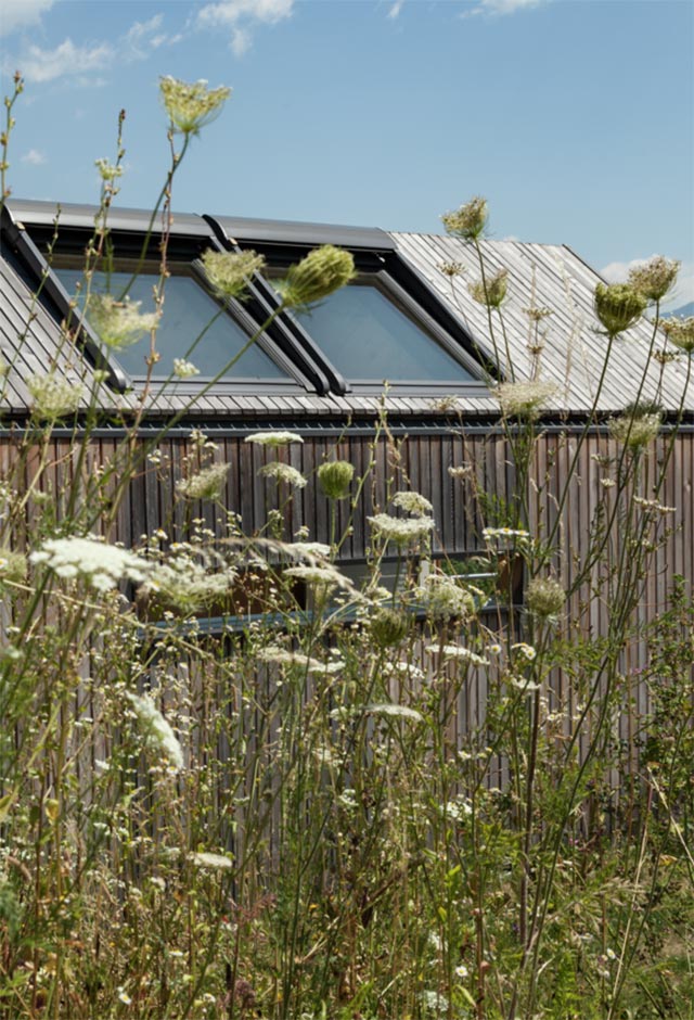  Holiday huts at Milstättersee with VELUX roof windows