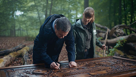 Forest projects with WWF on restoring and conserving forests to capture carbon