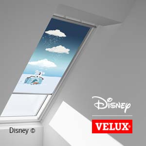 Disney & VELUX Dream Collection