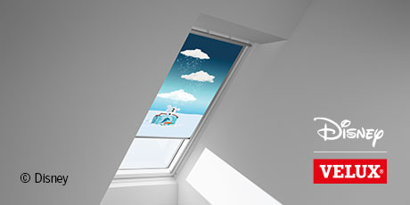 Disney & VELUX Dream Collection