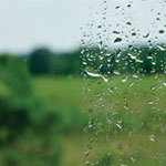 Clean, Quiet, & Safe Glass