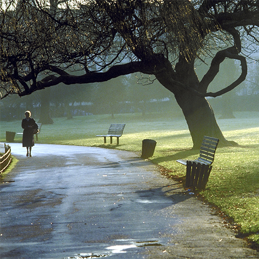 Incorporates natural surroundings