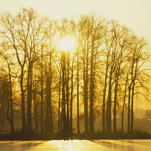 Increased sensitivity to glare