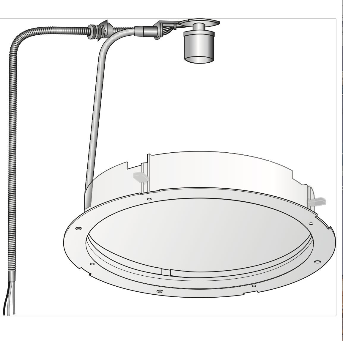 ZTL Night Light 2019