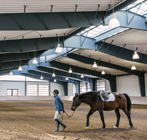 VELUX Modular Skylights make horse barn and arena fresh, healthy spaces for horses at rest or play