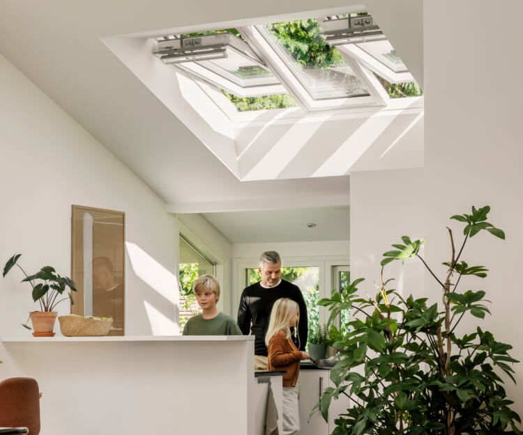 3 in 1 roof window