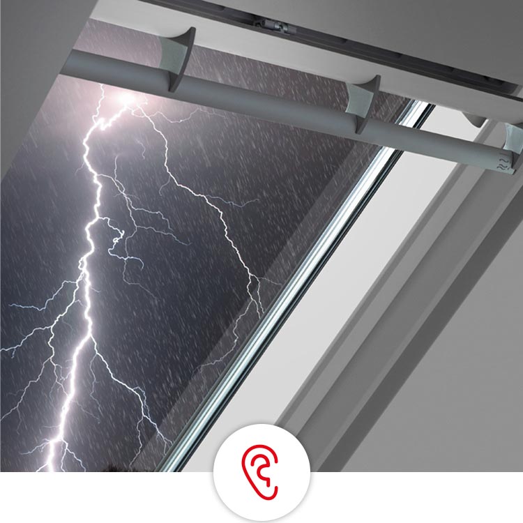 Illustration of an ear