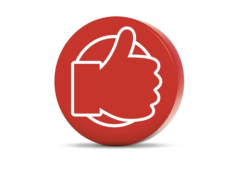 VELUX rewards programme logo