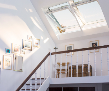 VELUX STUDIO windows